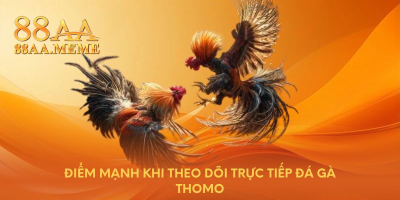 Điểm mạnh khi theo dõi trực tiếp đá gà Thomo 