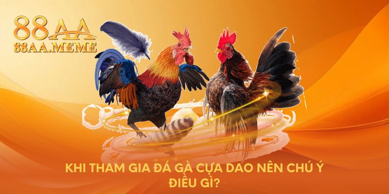 Khi tham gia đá gà cựa dao nên chú ý điều gì?