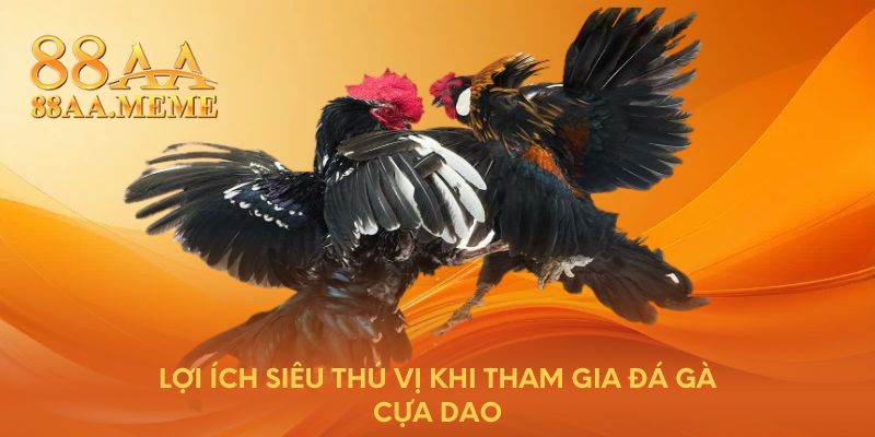 Lợi ích siêu thú vị khi tham gia đá gà cựa dao