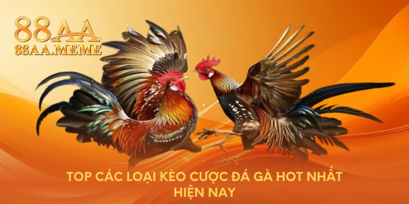Top các loại kèo cược đá gà hot nhất hiện nay